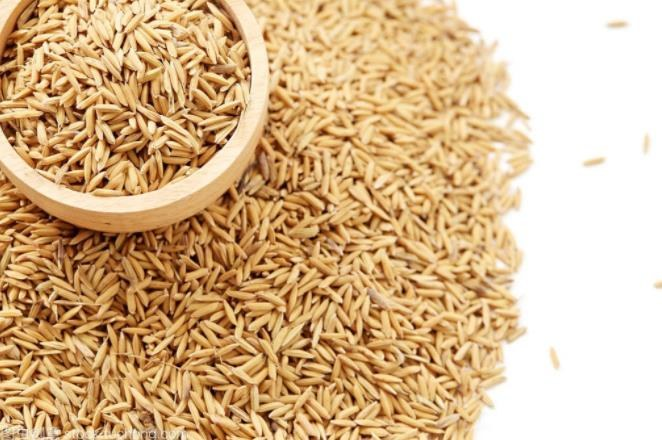 如何防治水稻干尖线虫病