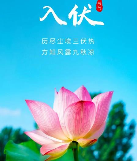 夏至入伏顺口溜