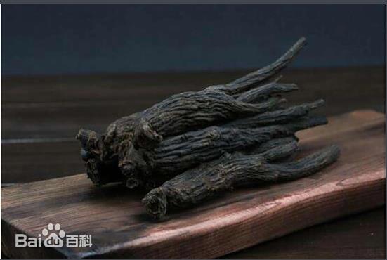 黑参[hēi cān]玄参科马先蒿属植物