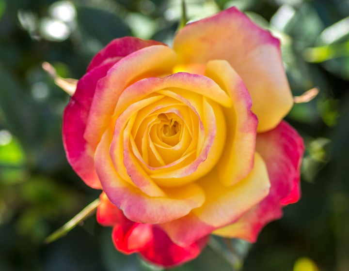 彩虹光芒