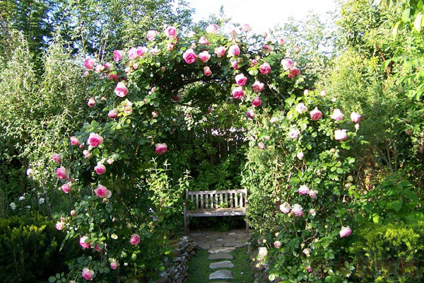 1709250918231306.jpg 1558752185711019.jpg