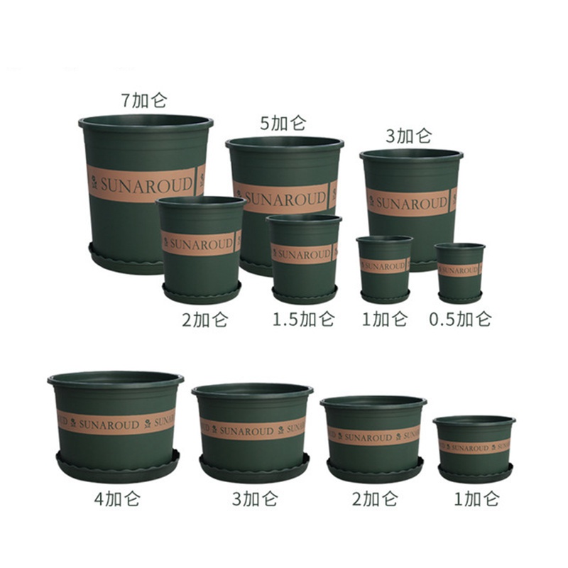 1709511260833354.jpg 1606196790759751.jpg