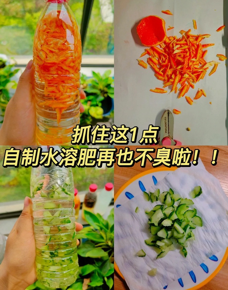 1705299316159935.jpg 自制无土栽培营养液的详细方法