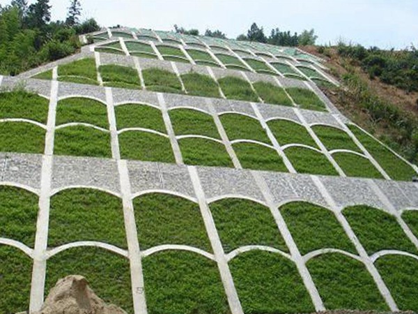 保护水土流失有哪些方法