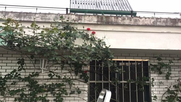 御用马车 御用马车