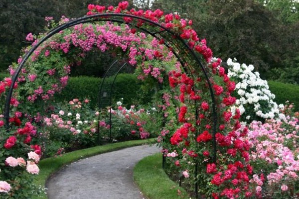 1709251226341011.jpg 1558752185606528.jpg