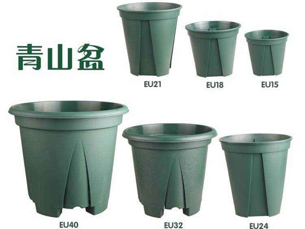 1709867113300664.jpg 1520395975471763.jpg