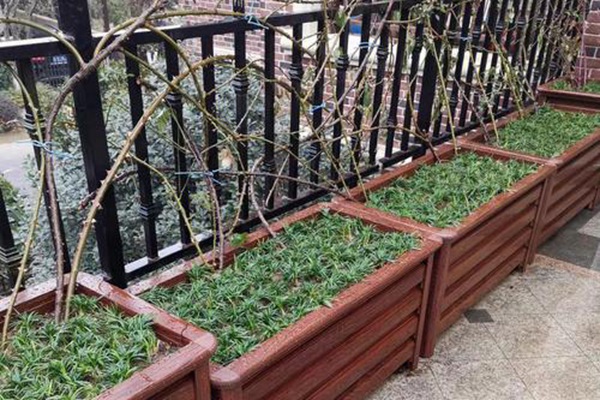 1709511625357860.jpeg 54bc665dcc46d68839c0cabd4f6baf34.jpeg