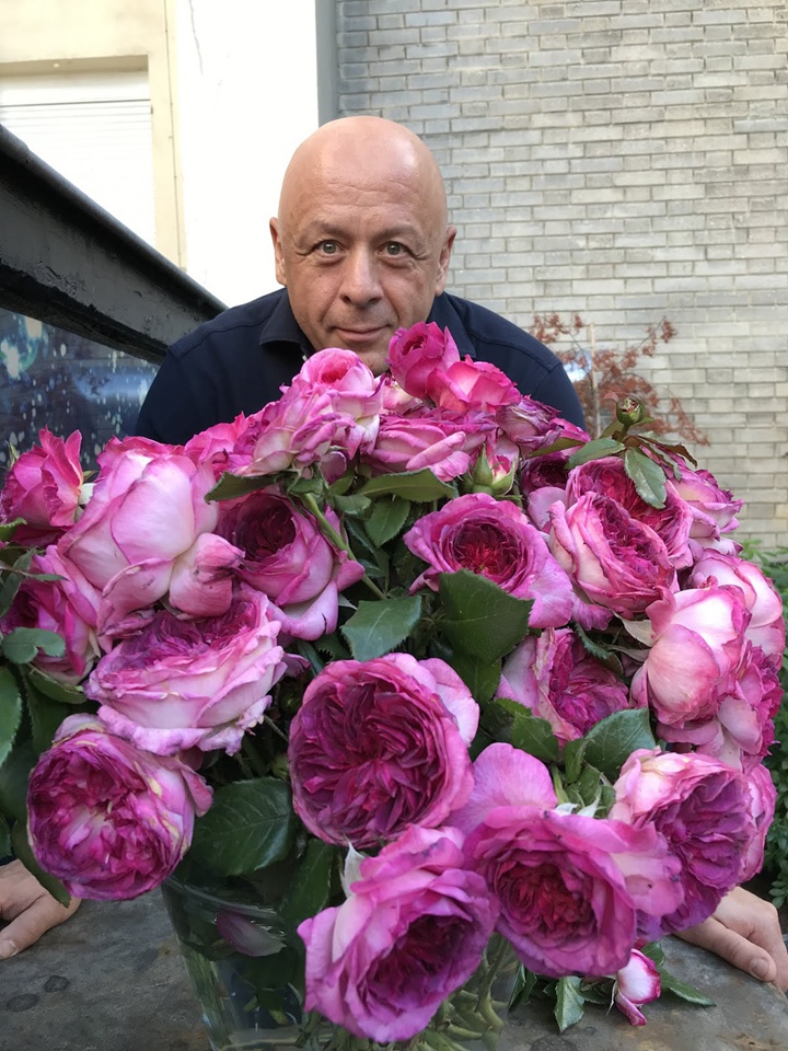 1709961287712738.jpg 蓝莓蛋糕月季优缺点有哪些