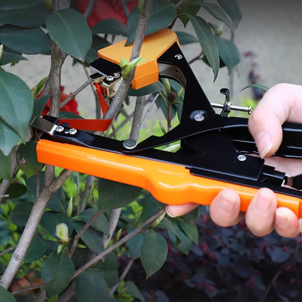 1709256111854386.jpg 1.jpg