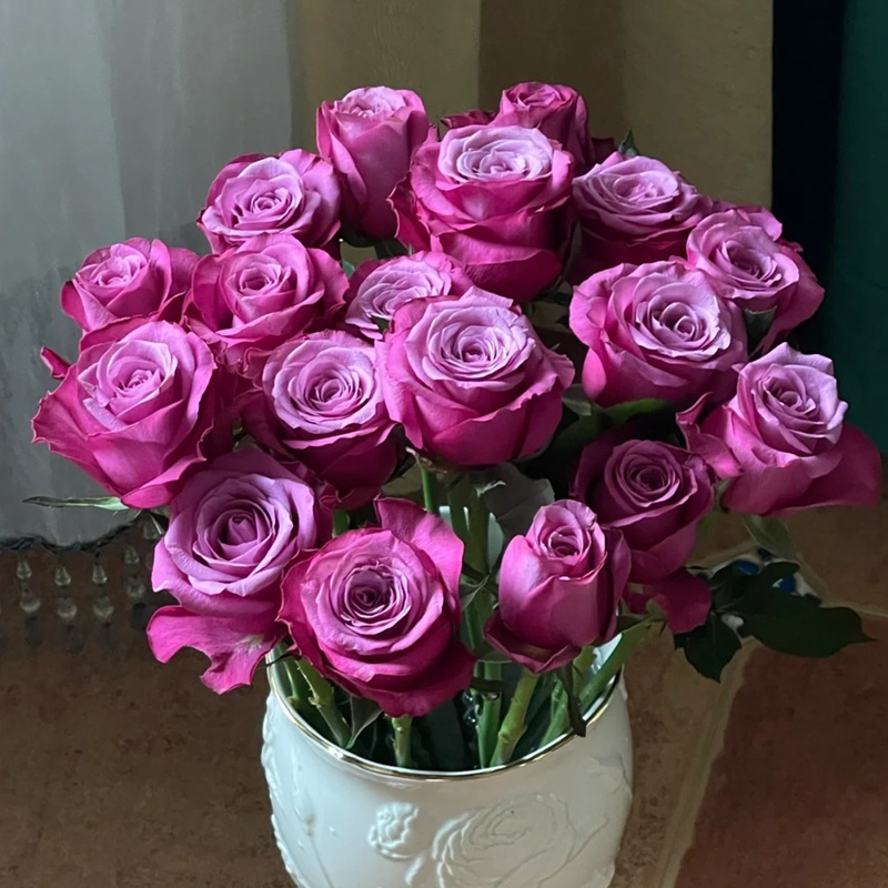 1709272551893299.jpg 1705022317264347.jpg