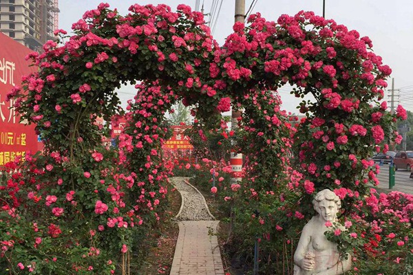 1709250830997671.jpg 1558752185475407.jpg