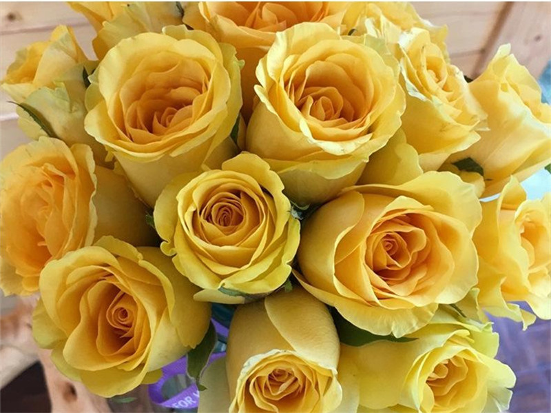 1710395795359935.jpg 2 (5).jpg