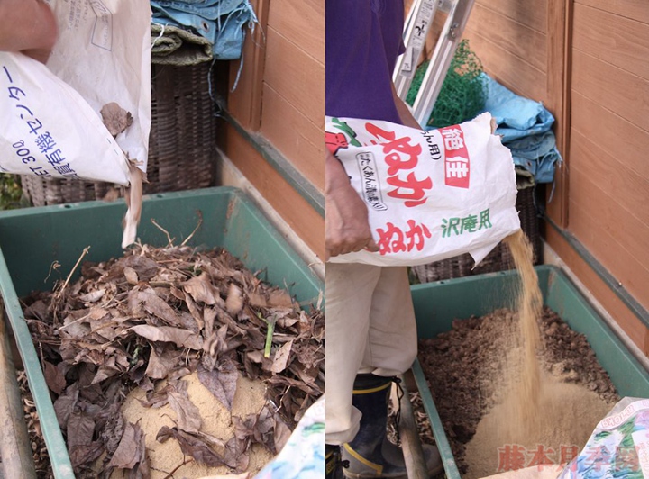 月季可以埋鱼肠做花肥吗? 月季可以埋鱼肠做花肥吗?