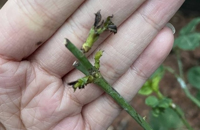 1663920380469793.jpeg 36ac287ee5f5831590f62f8c9a8b1d40.jpeg