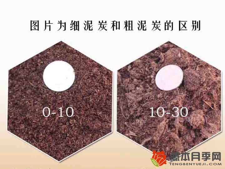 粗泥炭和细泥炭有什么区别? 粗泥炭和细泥炭有什么区别?