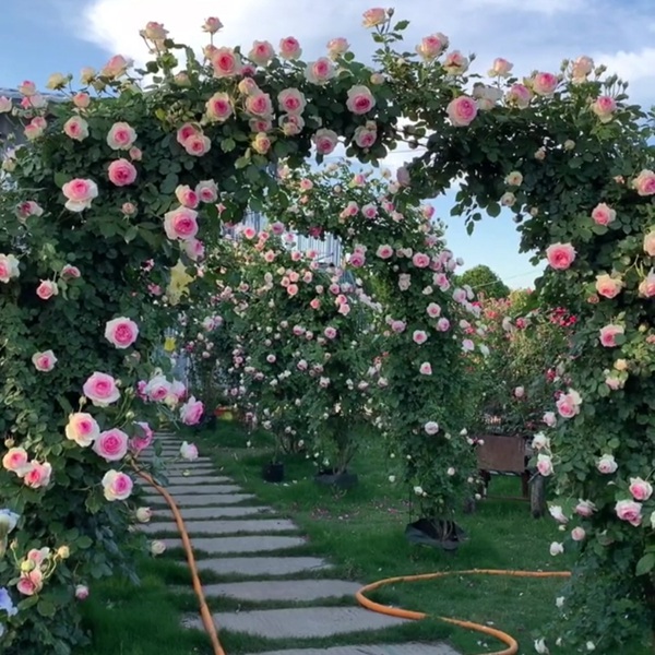 1709251541392507.jpeg 76c9e9e240fe7195207cb290857c3f79.jpeg