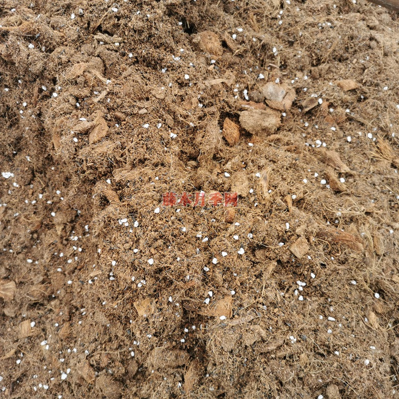 1706769830871952.jpg 1615891624670963.jpg