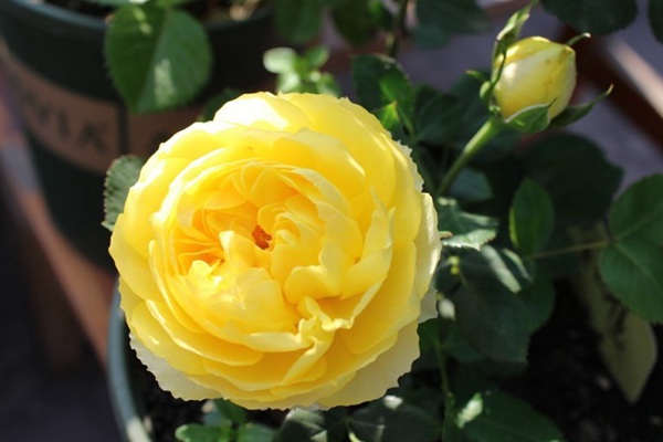 1706765425981814.jpg 1514272799434717.jpg